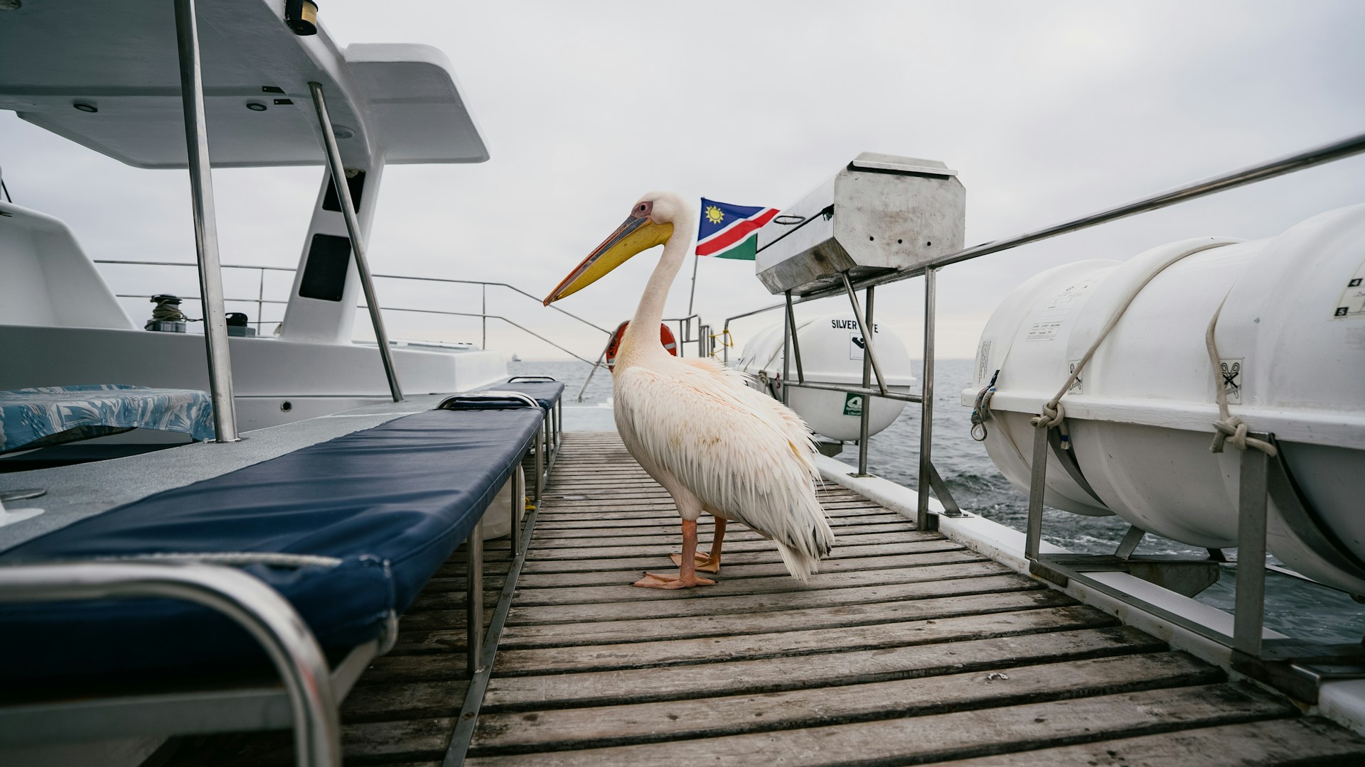 Namibian flag and coastal heritage